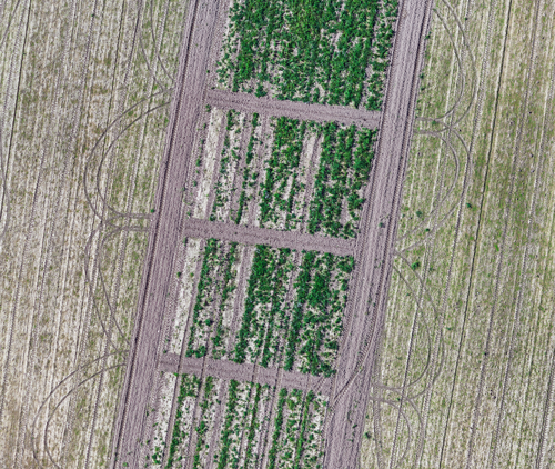 Zoning & Land Use Strategy Assessment