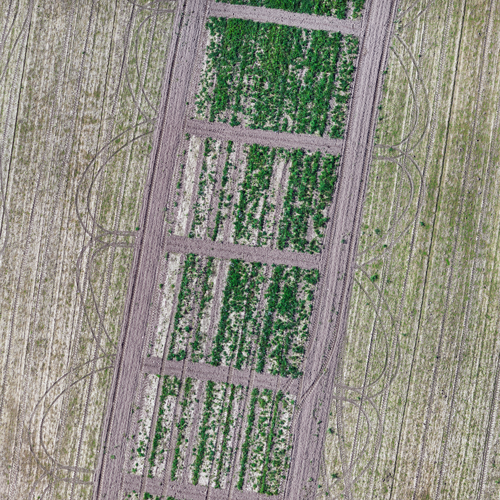 Zoning & Land Use Strategy Assessment